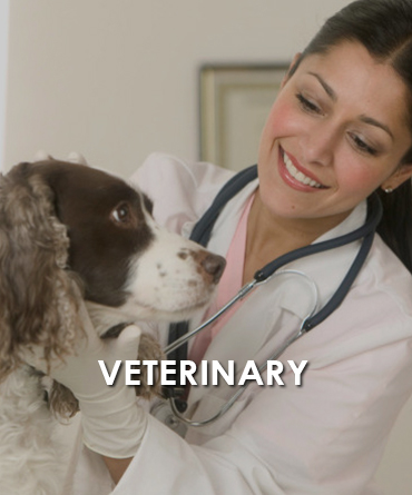 Veterinary 